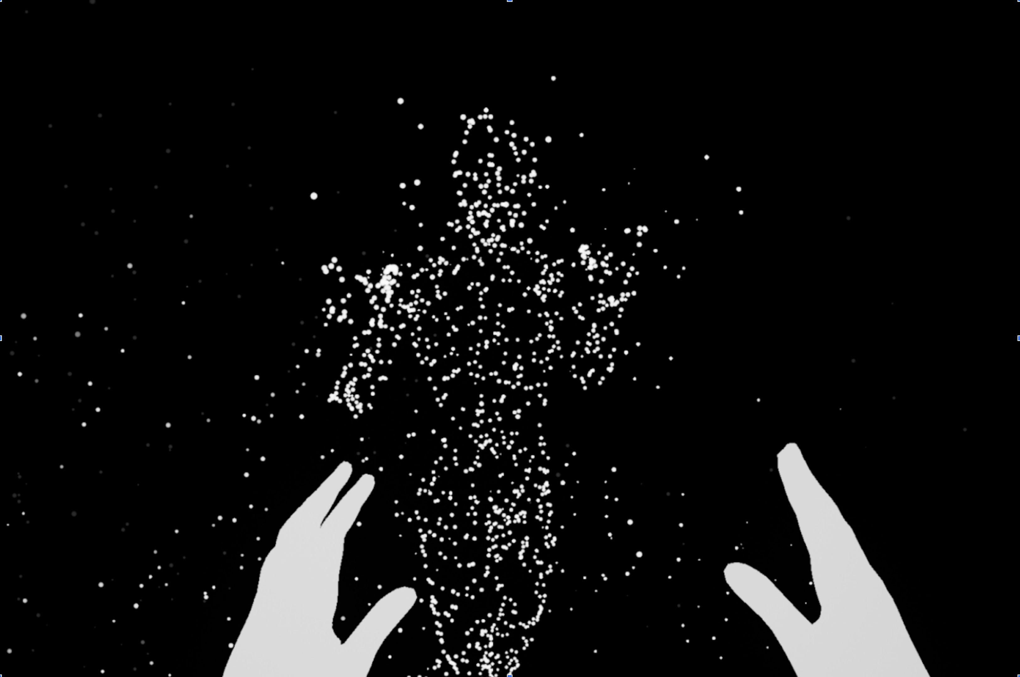 We are qubits